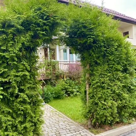 Apartament Zielony Ruczaj W Cisnej Cisna Exterior photo