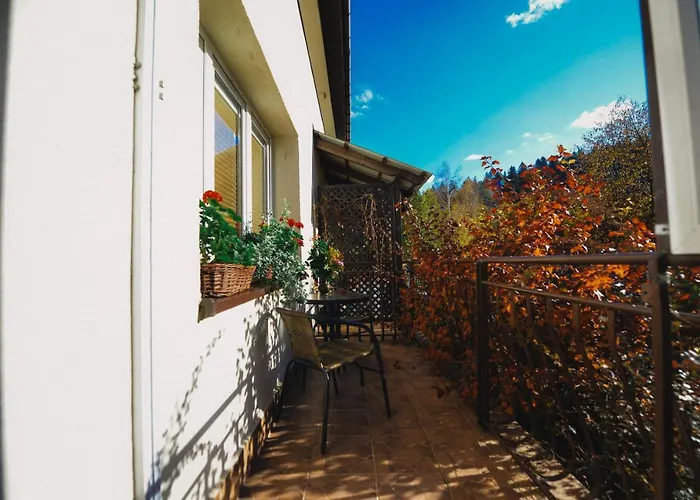 Apartament Zielony Ruczaj W Cisnej